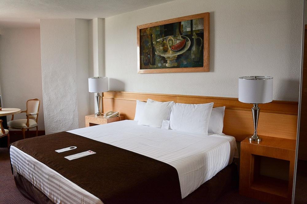 Hotel Laffayette Ejecutivo Гуадалахара Екстериор снимка
